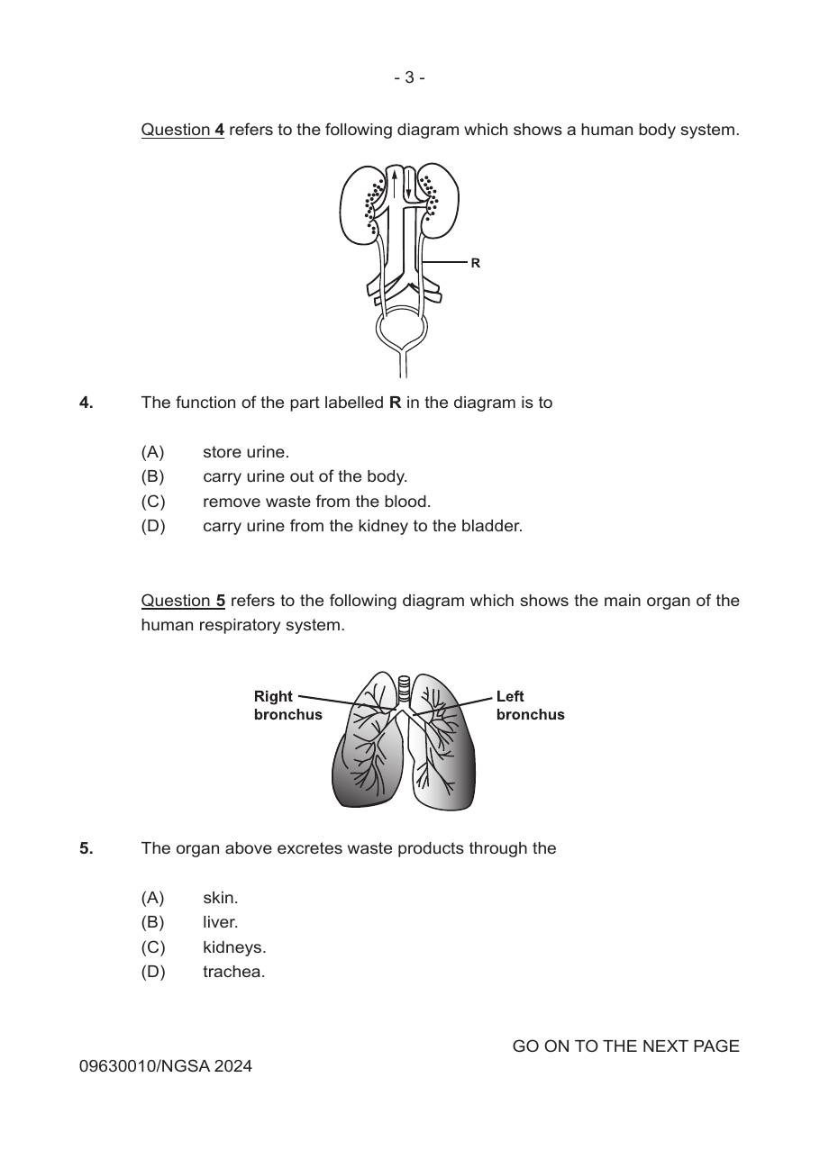 Source page for 2024 P1 Q4