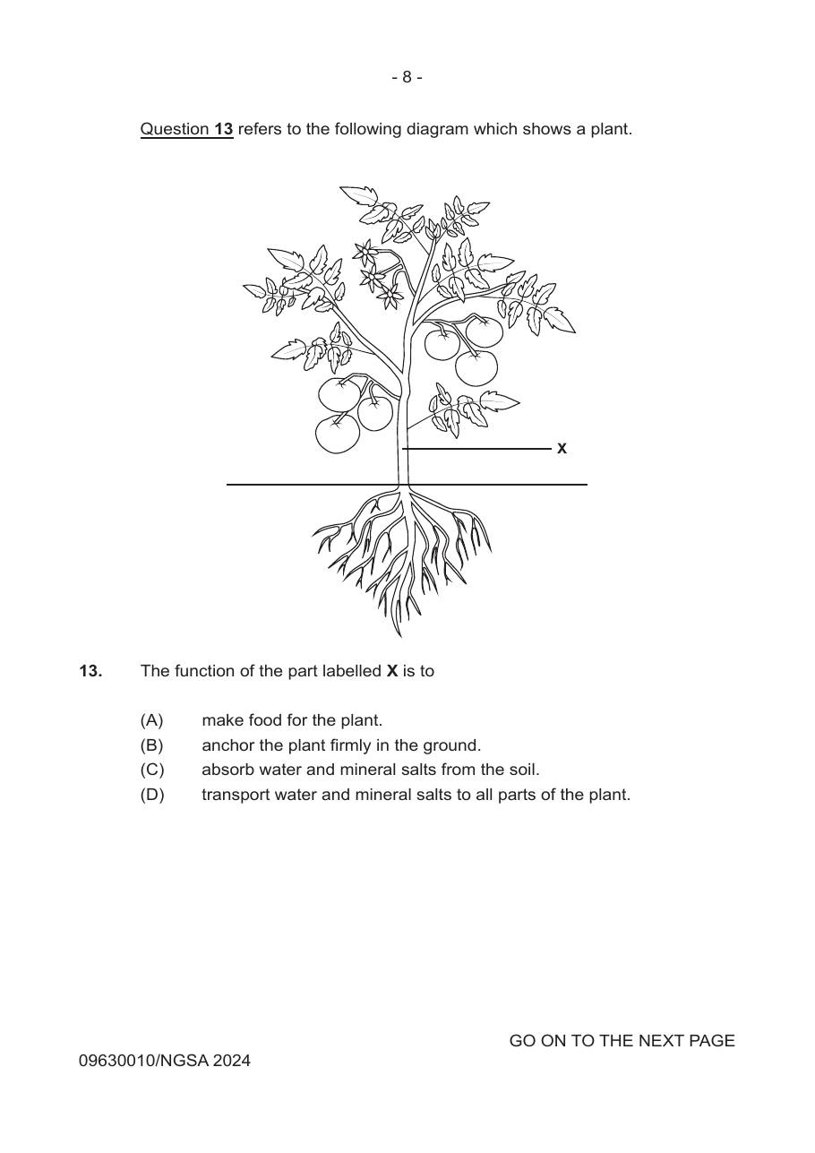 Source page for 2024 P1 Q13