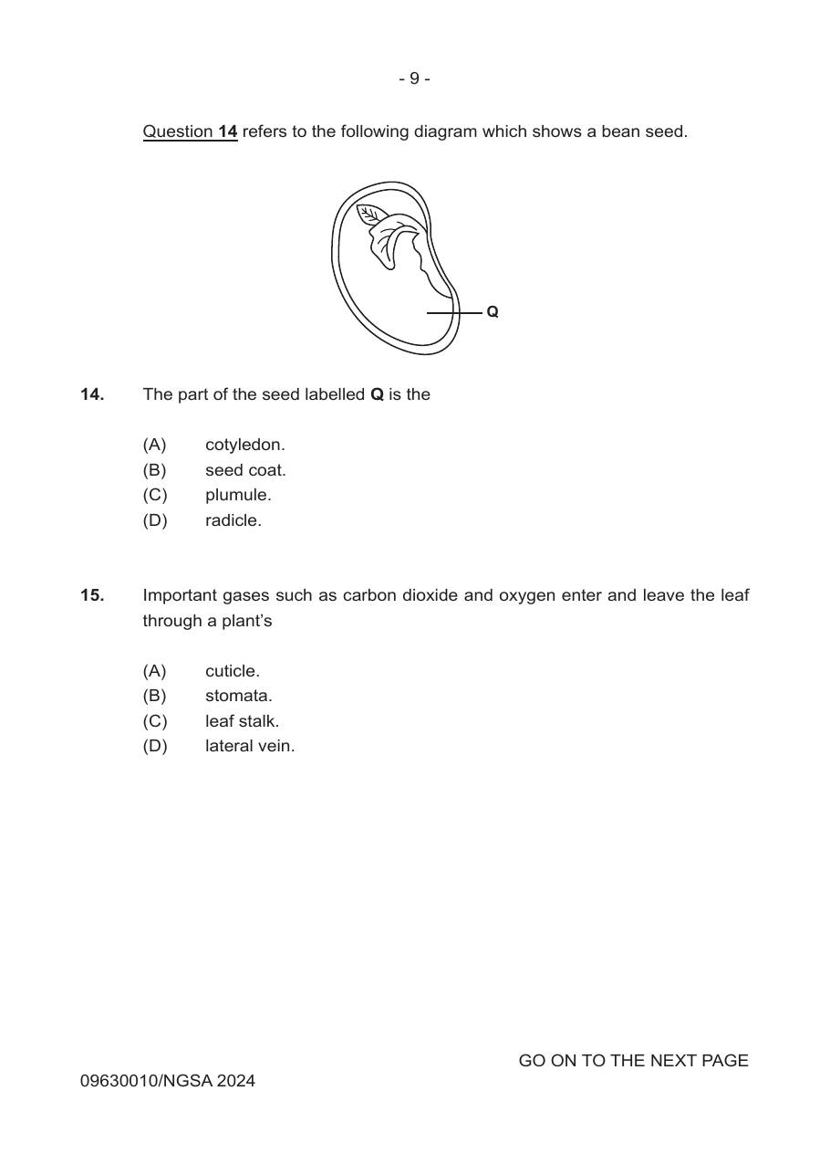 Source page for 2024 P1 Q14