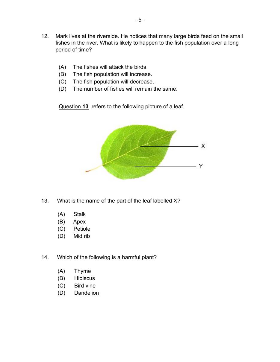 Source page for Mock Dec 2024 #1 P1 Q12