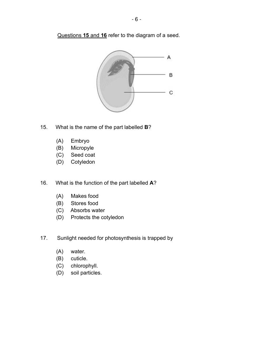 Source page for Mock Dec 2024 #1 P1 Q15