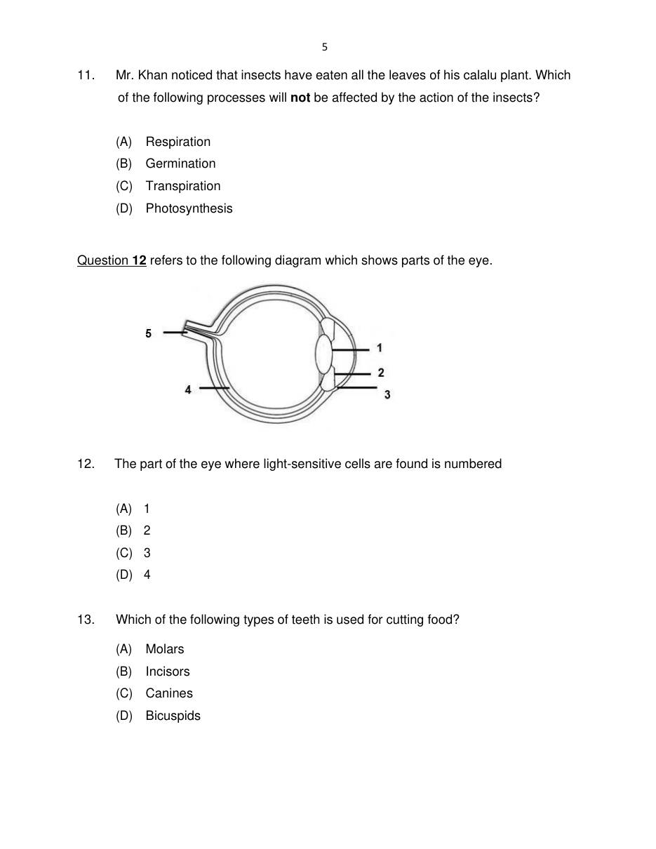 Source page for Mock Jan 2023 #1 P1 Q13