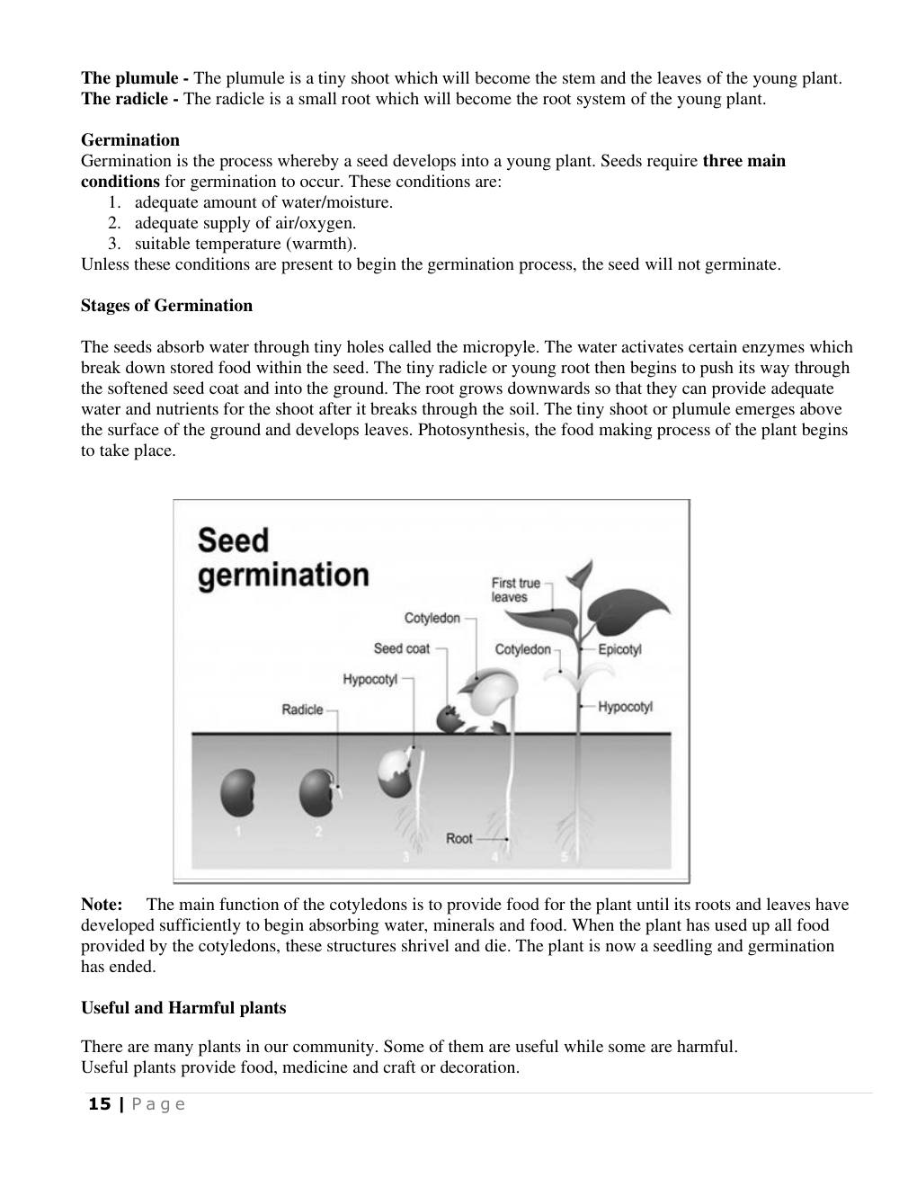 Conditions for germination (Science Notes p.16)