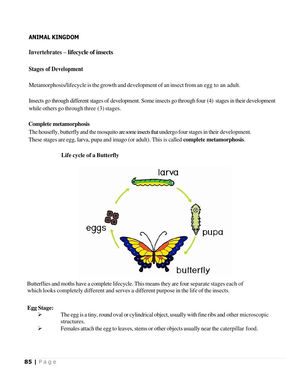 Complete metamorphosis (Science Notes p.86)