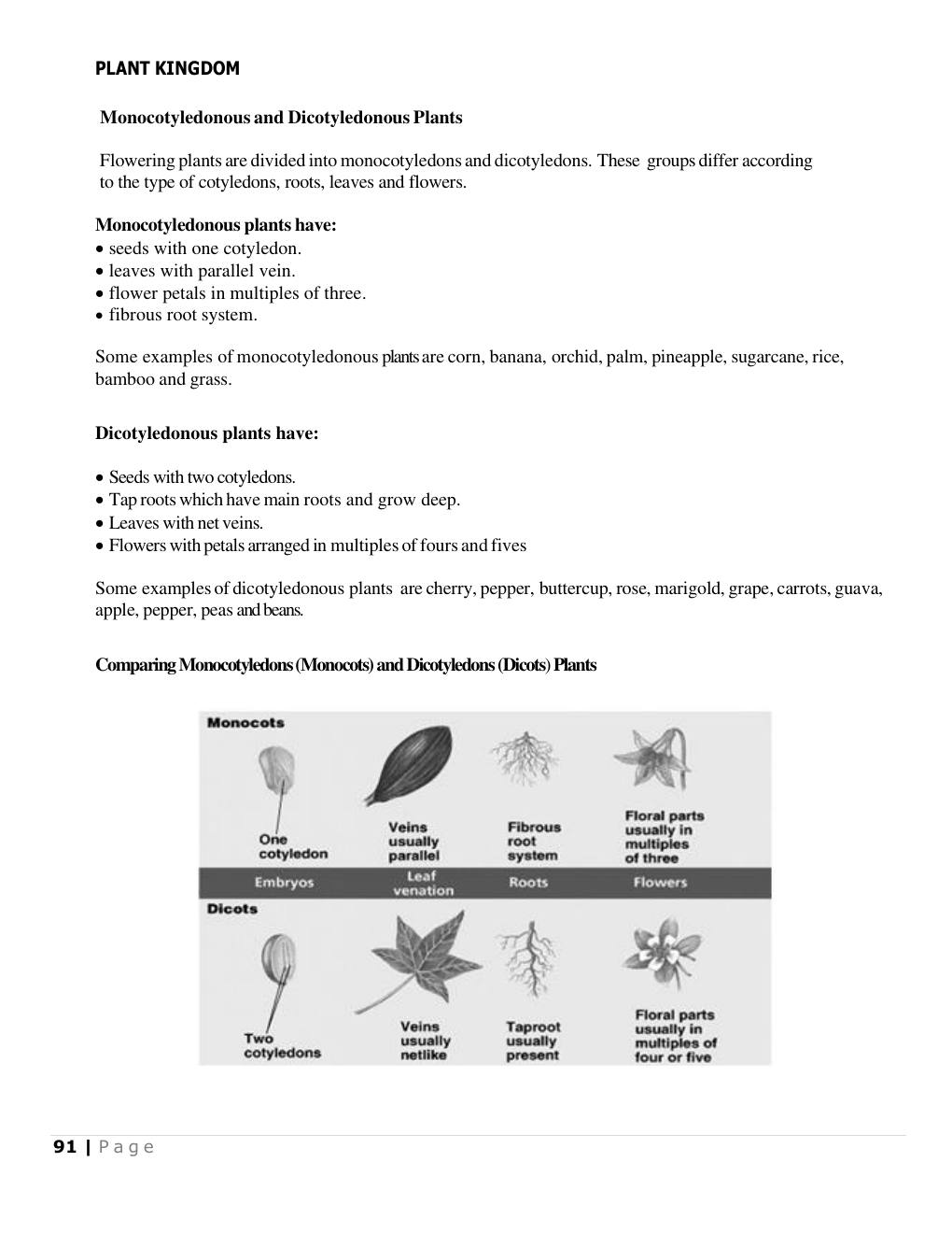 Monocots and dicots (Science Notes p.92)