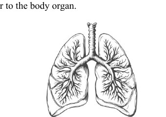Source visual for Quiz 1 P1 Q12