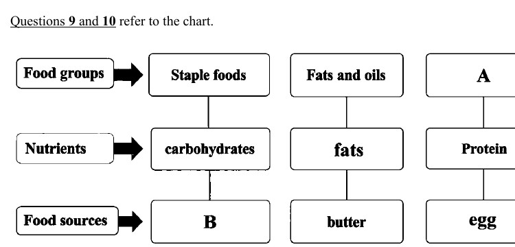 Source visual for Quiz 1 P1 Q9