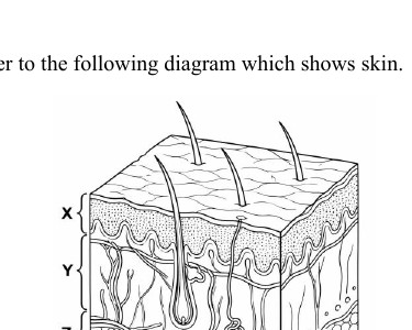 Source visual for Quiz 2 P1 Q11