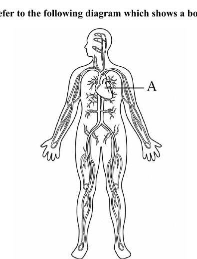 Source visual for Quiz 2 P1 Q13