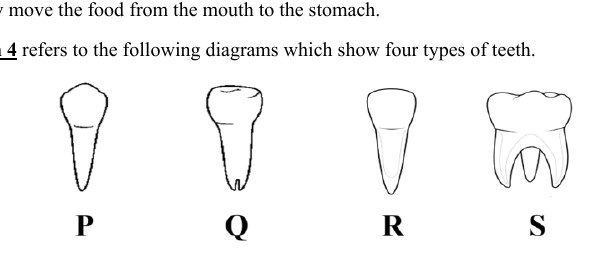 Source visual for Quiz 2 P1 Q4